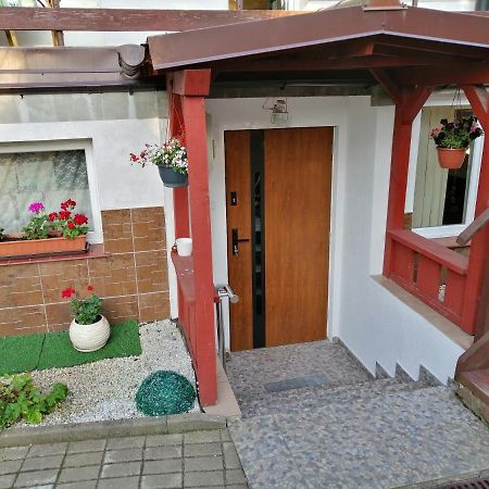 Apartament Przy Parku Malbork Exteriör bild